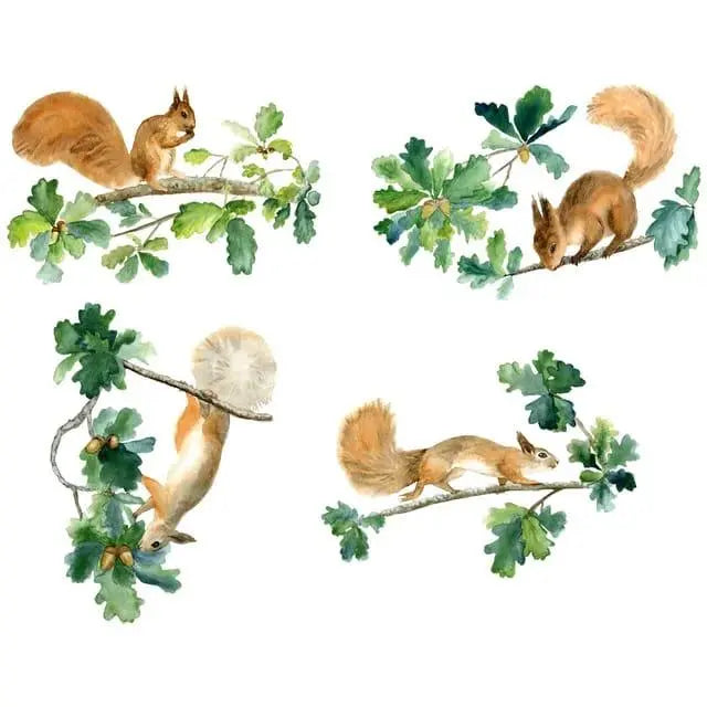 Playful Squirrels and Acorns Wall Stickers Easy do Wall do